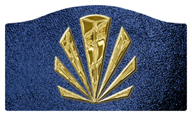 DASHELL-602-GD-SH-BL Gold Sunburst Shimmer Blue Background